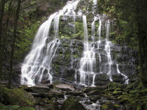 Wasserfall im Urwald von cjphoto