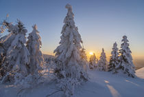Harz im Winter von Patrice von Collani
