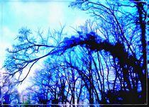 Blue trees by norisknimo