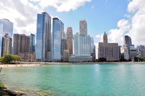 View at Chicago buildings by Anna Zamorska