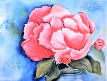 Rose by Theodor Fischer