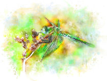 Emerald dragonfly by Elena Oglezneva