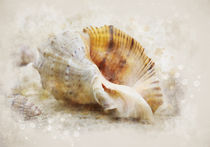  Naturist with seashells by Elena Oglezneva