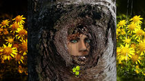 weinender Baum by Stefanie Keller