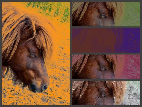 Collage-pony-2-image