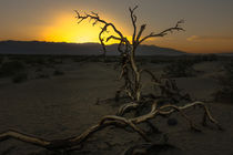 Death Valley Sunset von Klaus Tetzner
