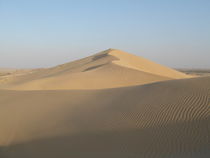 Wüste von maja-310