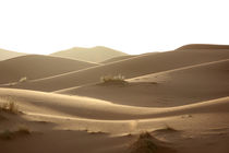 Wüste im Tageslicht by Martina  Gsöls