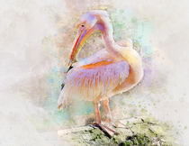 pink Pelican by Elena Oglezneva