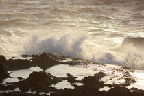 Wellen des Meeres von Martina  Gsöls