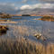 Autumn-sunlight-on-lochan-na-h-achlaise-number-2