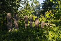 Old fence by Aleksandr Mayorov