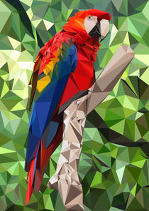 Ara Parrot Low Poly von William Rossin