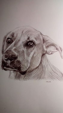 dogportrait by Marion Reinke