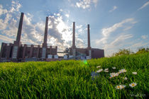 Kraftwerk Wolfsburg mit Gänseblümchen von Jens L. Heinrich