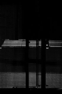 Schwarze Gitter von Bastian  Kienitz