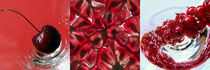 Rote Früchte, Makroaufnahmen, red fruits by Dagmar Laimgruber