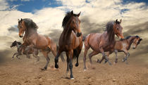 Stunning Herd Of Horses by past-presence-art