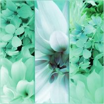 Triptychon zarter Blüten by Renate Grobelny