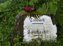 Ein Wanderschuh bei Tonbach von ysanne