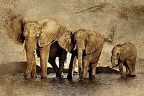 Vintage africain elephants by past-presence-art