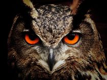 Eagle owl by past-presence-art