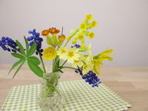 Kleiner Frühlingsstrauß in der Vase by Heike Rau