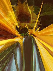 Sonnenblume abstrakt by Chris Berger