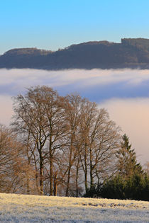 Landschaft mit Nebel und Rauhreif by Bernhard Kaiser