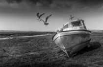 Abandoned Boats at Penclawdd estuary von Steve Evans