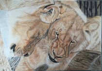 Löwenliebe von Bettina Hilker