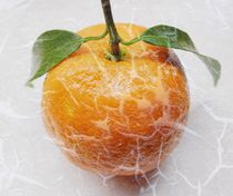 Mandarine verfremdet by Renate Grobelny