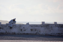 Hafenmauer Essaouira von Martina  Gsöls