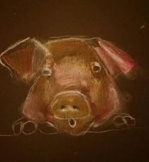 Schwein von Karen Klingner