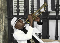 The Trumpet Player  von Rob Hawkins