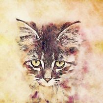 Watercolor Cat by ancello