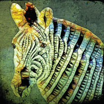 abstrakt Zebra von ancello