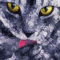 cat eyes by ancello
