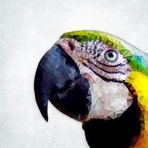 Papagei by ancello