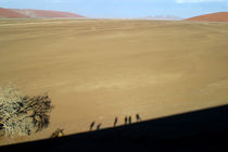 Shadows in the Namib Desert by Floor Fortunati