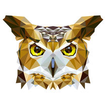 Polygon Owl by ancello