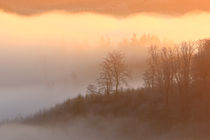 Leuchtender Nebel by Bernhard Kaiser