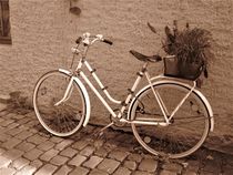 Fahrrad-Stillleben von assy