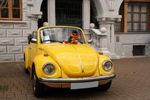 VW Käfer mit Ernie; 29.08.2017 by Anja  Bagunk