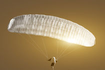 Paraglider in the sunset by fraenks