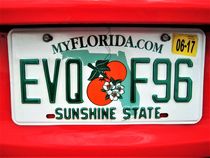 Florida Autokennzeichen by assy