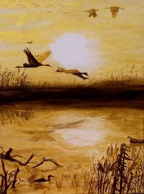 Vogelbeobachtung im Sonnenuntergang by terra-de-arte