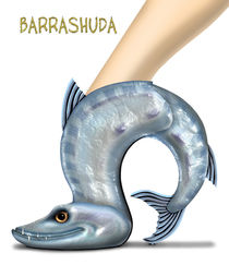 Barrashuda by anarkissed