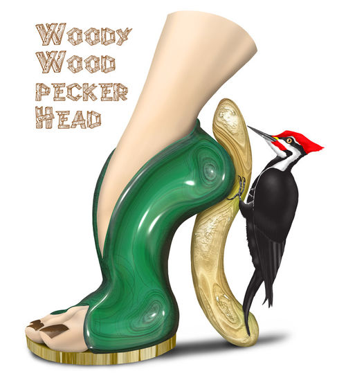 Shoe-art-design-woodpecker-bird-36in