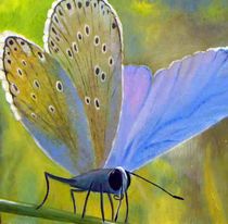 Schmetterling by Martina Seider